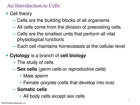 Fundamentals Of Anatomy And Physiology Ppt Download