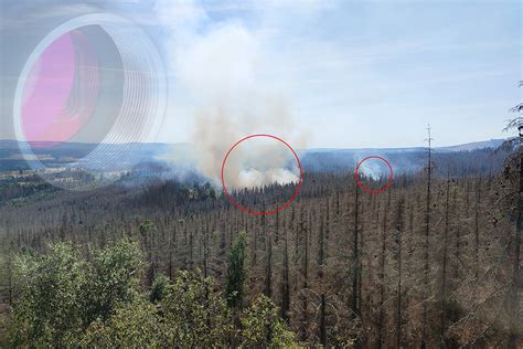 Automatic Forest Fire Detection System With AI Enables Early And