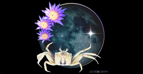 Astrograph A New Moon Of Consolidation And Active Relationship