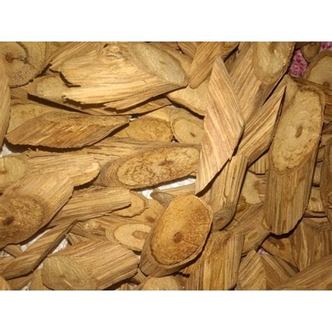 Jual Akar Tumbuhan Herbal Bajakah Kuning Kering Asli Kalimantan