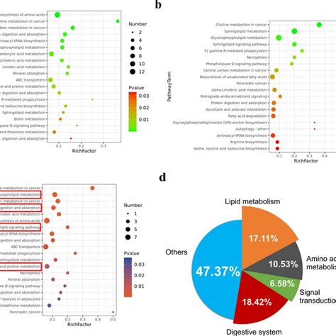 Metabolite Associated Pathways A The Bubble Chart Of Top Kegg