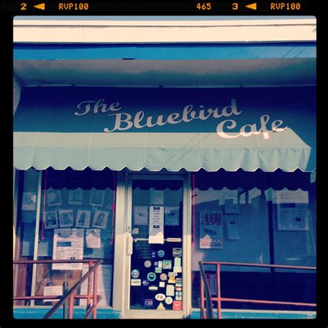 Bluebird Cafe | Blue bird, Outdoor decor, Cafe