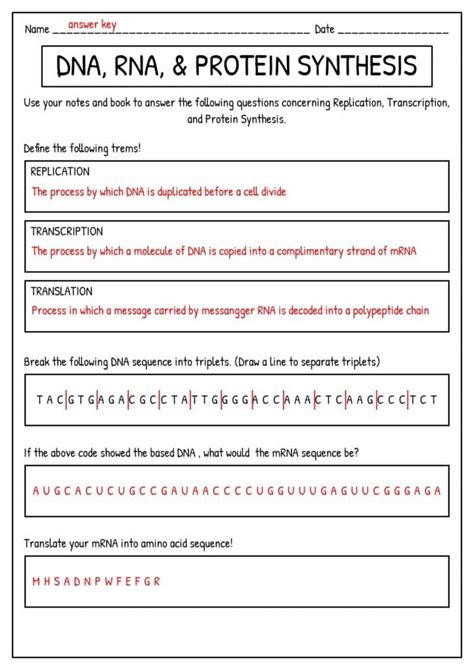 Step By Step Protein Synthesis Worksheet The Teach Simple Blog