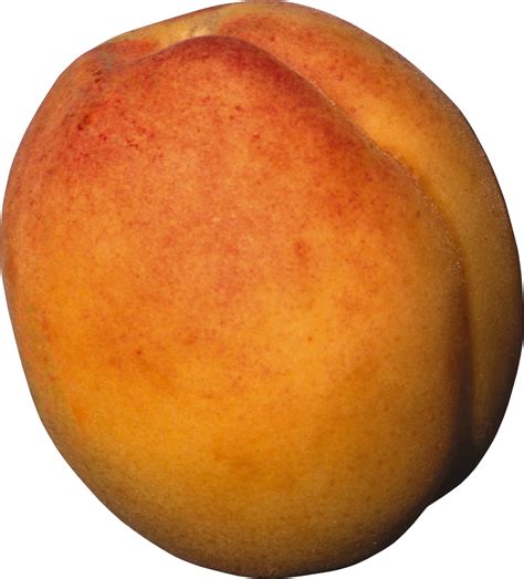 Peach Png Image Purepng Free Transparent Cc Png Image Library