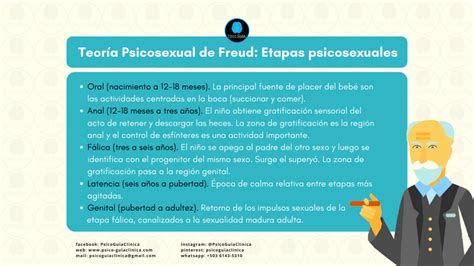 10 Teorías Sobre El Desarrollo Humano Psico Guia