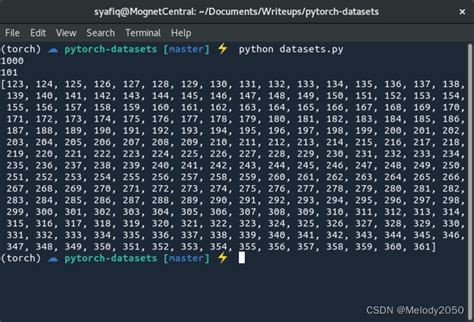 Pytorch Dataset Dataloader Csdn