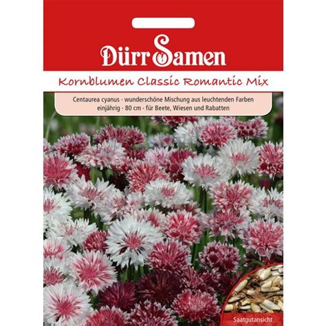 Dürr Samen Kornblume Classic Romantic Mix 1 Packung Bloomling