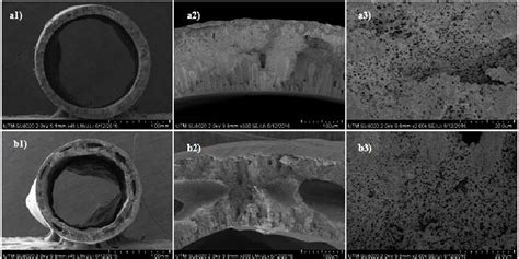 Figure From The Morphological Properties Study Of Photocatalytic Tio