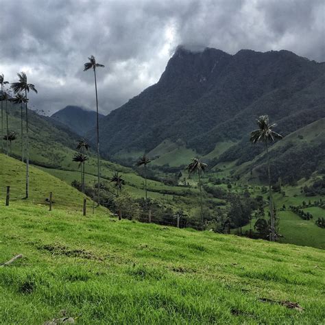 Qué hacer en El Valle de Cocora Valle Salento quindio Viajes