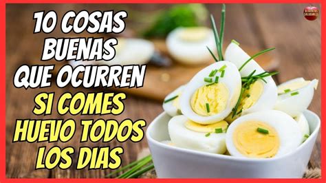 🔴 10 Beneficios De Comer Huevos Todos Los DÍas 💝 Youtube