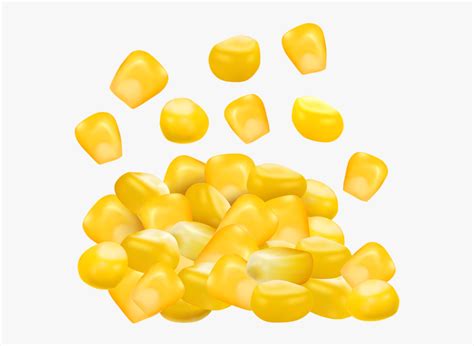 Corn Kernels Clipart Png Images Image Of Cute Corn Kernel Vector