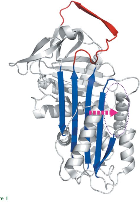 Figure From Structural Biology And Crystallization Communications