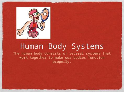 Ppt Human Body Systems The Human Body Consists Of Several Systems