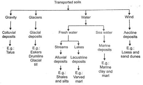 Residual Soil and Transported Soil - Civil Engineering Notes