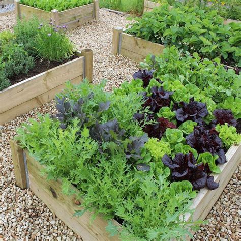 40 Vegetable Gardening For Beginner Ideas 14 Kawaii Interior