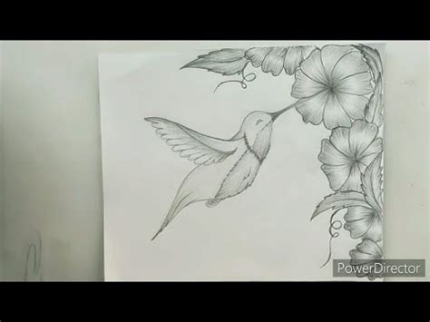 How To Draw A Hummingbird And Flower | Best Flower Site