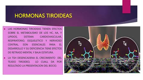 ENFERMEDADES DEL HIPOTALAMO Y LA HIPOFISIS Pptx