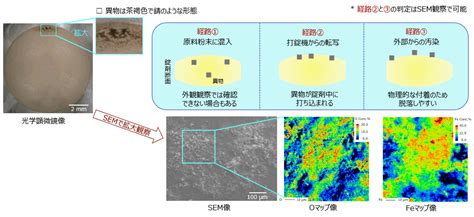 イメージングを活用した異物のepma状態分析