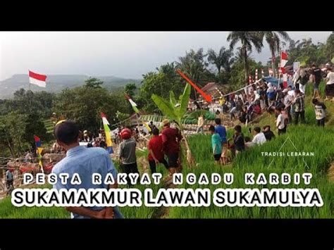 PESTA RAKYAT NGADU KULUWUNG KARBIT SUKAMAKMUR VS SUKAMULYA TRADISI