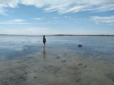 Herron Point Campground (Campground) - Murray, Western Australia