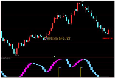 通达信精准逃顶落袋为安保利润【副图】指标 金指标研习社