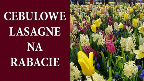 Jak posadzić KWIATY CEBULOWE w stylu Keukenhof Cebulkowe lasagne na