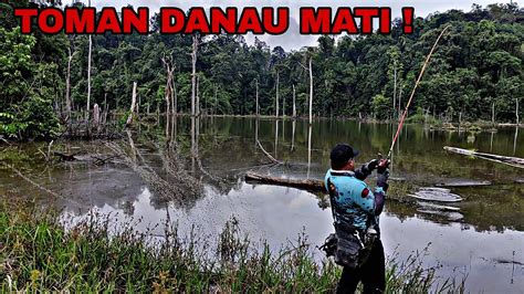 UMPAN BEBY SILINCER KW MANCING TOMAN DI DANAU YANG JARANG ORANG