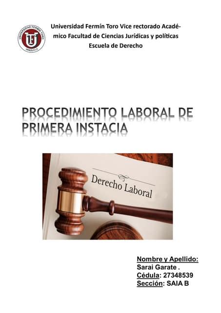 Procedimiento De Primera Instancia Pdf