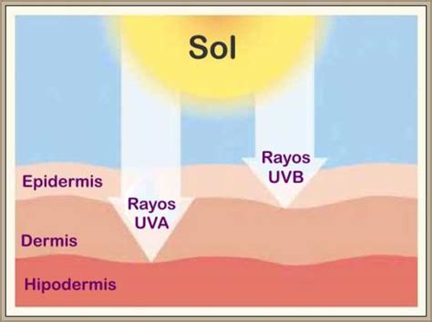 Rayos Uv