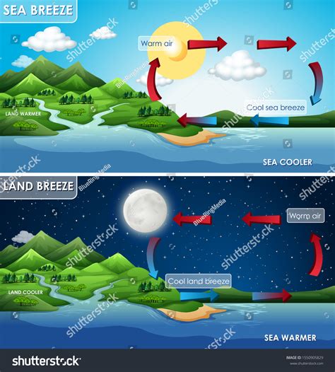 Exploring The Science Behind A Sea Breeze