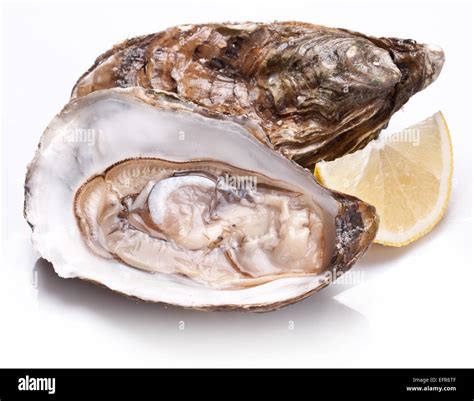 Fresh Opened Oyster And Lemon Slice Isolated On A White Background