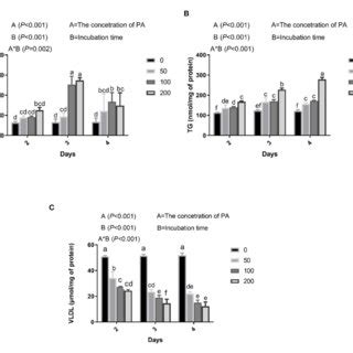 Effects Of Palmitic Acid PA On Mitochondria And Lipid Metabolism In