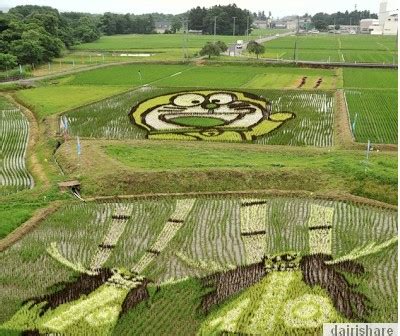 Lukisan Sawah Padi Galery Lukisan Lukisan Gunung Dan Sawah Breana