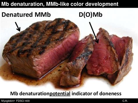 Myoglobin And Meat Color By Chris Raines Itweetmeat