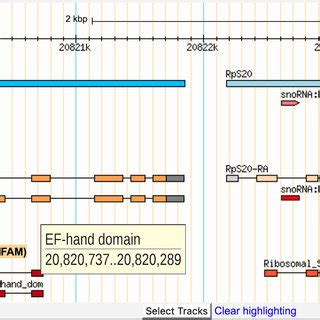 Protein domain visualization in GBrowse. Screenshot of GBrowse in the ...