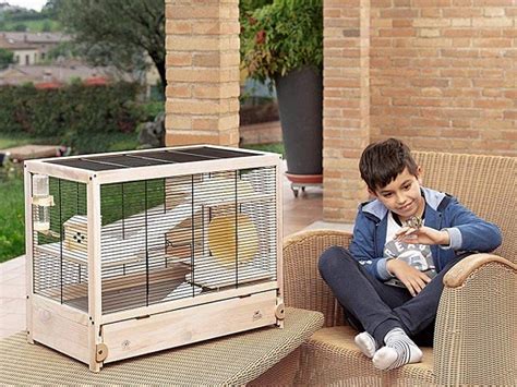 Best 10 Wooden Hamster Cages To Choose In Big And Small Sizes