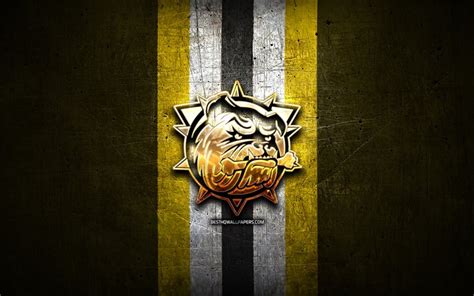 Download wallpapers Hamilton Bulldogs, golden logo, OHL, yellow metal ...