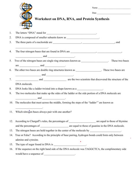 Dna To Protein Worksheet