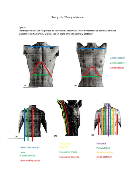 Topograf A T Rax Y Abdomen Topograf A T Rax Y Abdomen I Parte