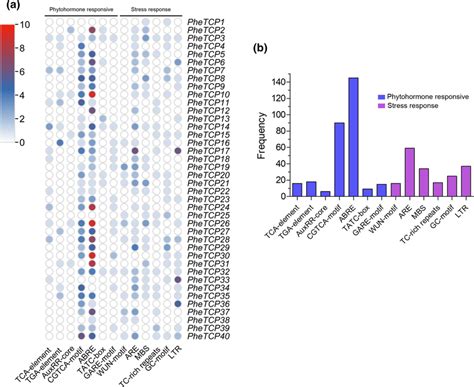 Cis Acting Elements Analysis Related To Phytohormone And Stress