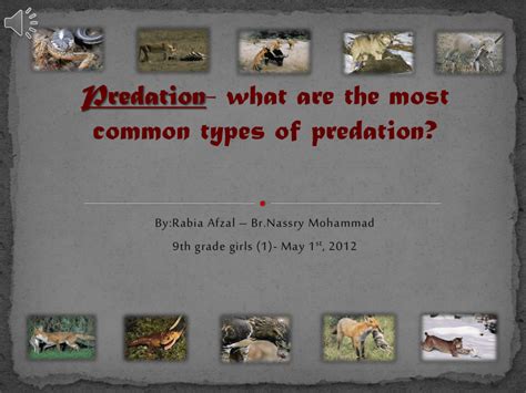 Predation- what are the most common types of predation?