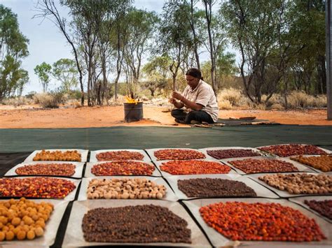 Connect with Indigenous Australian culture: must-do experiences