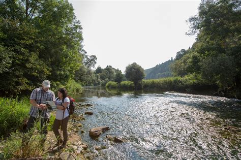 Rundwanderweg Im Und Am Neckartal • Wanderung