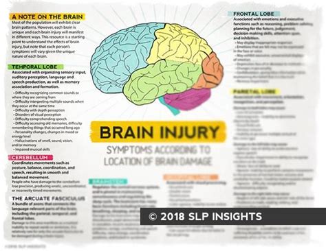 Brain Injury Bundle Brain Injury Handouts Pack B