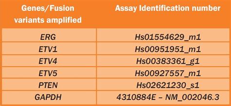 Applied Biosystems Taqman RT QPCR Assay Identification Number