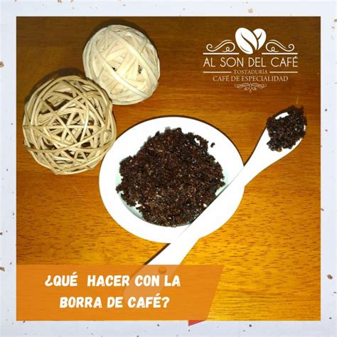 Qué Hacer Con La Borra Del Café Aquí Te Dejamos Algunos Consejos Blog