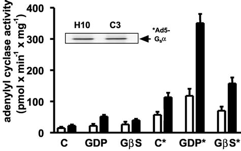 Activation Of Heterotrimeric G Proteins By A High Energy Phosphate