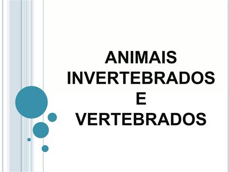 Animais Invertebrados E Vertebrados