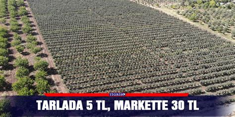 Tarlada 5 TL Markette 30 TL