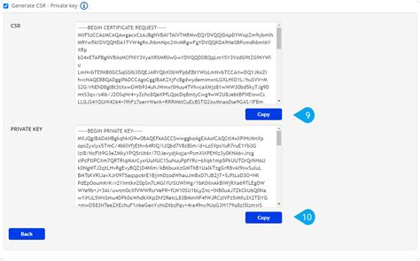 How To Generate A CSR For Your Custom SSL Certificate In The Legacy